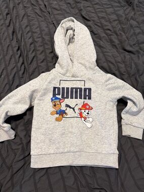 Puma Kids Light Gray Hoodie with Paw Patrol Characters